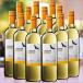 ワイン 白ワインセット コンドール アンディーノ シャルドネ１２本セット ７５０ｍｌ 送料無料 辛口