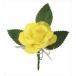 AR4521718750231a- Tec букетик мини роза желтый 
