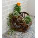  wheel. shape . did stylish planter natural tree made . antique manner, entranceway .. garden etc.. accent .