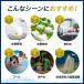 pH����� PH �� ���[�^�[ �Z���t �t�̔엿 ���� ���� ���� �ȒP �f�W�^�� �������t�� ������ �����Ǘ� ���k�͔| �A�N�A���E�� �֘A�摜5