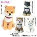 o сиденье . Shibata san мягкая игрушка . собака Akita собака чёрный . san белый камень san Akita собака осень гора san ощущение . нежный интерьер . новое здание праздник . перемещение праздник . подарок f линзы Hill 