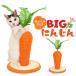  коготь .. кошка морковь лен . наматывать симпатичный игрушка высота примерно 26cm.. класть лен наматывать коготь точить кошка сопутствующие товары товары для домашних животных 
