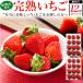  клубника ....2 коробка комплект фрукты высококлассный клубника ... крупный высококлассный Wakayama префектура производство бренд ... сельское хозяйство дом прямая поставка фрукты подарок подарок .. для . покупка 