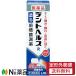 [ no. 3 kind pharmaceutical preparation ][ non-standard-sized mail ] lion tento hell sR paint . tooth .. leak medicine (10g) < tooth stem. pain,..,... be effective . inside . also >