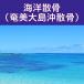  sea ... Amami Ooshima . Kagoshima prefecture .. agency sea .. flour .