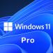 OSѹ Windows11 Home  Windows11 Proѹåץ졼ɡ˾ˤñ򳫻Ϥޤ