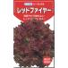  lettuce семена красный fire - leaf lettuce 1.3ml