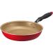 �h�E�V�V�� IH�Ή��t���C�p��28cm EIFP28RD3