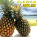  Gold barrel пробный 1 шар примерно 1.5kg<BR> Okinawa производство ананас бесплатная доставка <BR><BR> сезон ограничение . фрукты подарок 