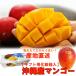  Okinawa манго .. для 1kg коробка ( манго внутри емкость 700g и больше )(2-4 шар ) прямая поставка от производителя бесплатная доставка подарок на Bon Festival .! осталось жара . видеть Mai .*...* подарок 