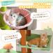�L���b�g�^���[ �˂����� �X���� �L�^���[ �܂Ƃ� �n�����b�N2�� �c�C���˂����� �R���p�N�g �ȃX�y�[�X �������� ����������190~255cm �֘A�摜4