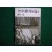 # сейчас день. число . магазин структура .. остров . Inoue документ .1980 год #FAIM2020090120#