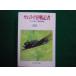 # Samurai 0 военная история человек камера .... 0 Squadron . рассказ Yoshida один Ushioshobokojinshinsha NF библиотека #FAIM2025040813#