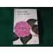 # небо. огонь стойка Yamate Kiichiro длина сборник повесть выбор сборник персик источник фирма #FASD2022122613#