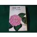 # небо гарантия . маленький штамп Yamate Kiichiro длина сборник повесть выбор сборник персик источник фирма #FASD2022122615#