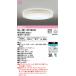 OL251671BCR ǥå LED󥰥饤 Ĵ Ĵ Bluetoothб 8OL251671BC1θѵ