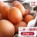 [ Nagano префектура легкий .. производство ].... яйцо 20 штук входит flat .. Tama . шар .tamago яичный желток . белый . местного производства Tama ..... .. в точности прямая поставка от производителя природа яйцо включая доставку ( Okinawa рассылка не возможно )