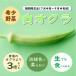  rare vegetable white okro Yamaguchi prefecture tradition vegetable white ... length . city 100g×3 sack total 300g [ wholly ...]