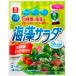 li талон 5 видов водоросли . белый иудино ухо * конняку агар-агар ввод сухой морские водоросли салат 40g×1 пакет 