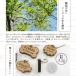 �ؐ� ���q�D �y�b�g�^�O �� ���� �L �˂� �y�b�g ��� ���p���q�D ���O���� ������ �l�[������ �l�[���^�O �h�b�O�^�O ���D ���킢�� ������� �y�� �֘A�摜2