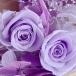  почтовая доставка ( Япония mail ) бесплатная доставка консервированный цветок фиолетовый незначительный фиолетовый роза 2 колесо & белый красный лиловый гортензия & серебряный rental mi saw материалы для цветочной композиции комплект 