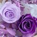  почтовая доставка ( Япония mail ) бесплатная доставка консервированный цветок фиолетовый light purple роза 2 колесо &amp; белый * красный лиловый гортензия &amp; серебряный rental mi saw материалы для цветочной композиции комплект 