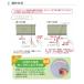 �y���������ő�10%�I�t�N�[�|���z �n�j�J���u���C���h �Ռ� ��15�`210cm�~����10�`240cm ���n �� ���� �v���[�c�X�N���[�� �I�[�_�[ �t���l�X �֘A�摜4