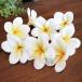  плюмерия. искусственный цветок 8 штук входит поддельный цветок белый 