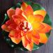  Lotus. искусственный цветок L лотос. цветок водяная лилия orange 27cm