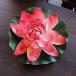  Lotus. искусственный цветок L лотос. цветок водяная лилия красный 27cm