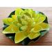  Lotus. искусственный цветок L лотос. цветок водяная лилия желтый зеленый 27cm