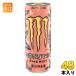  Asahi Monster Energy papiyon355ml жестяная банка 48шт.@(24 шт. входит ×2 массовая закупка ) энергетический напиток газированные напитки 