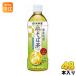 . глициния .... чай для зоровья соба чай 500ml пластиковая бутылка 48шт.@(24 шт. входит ×2 массовая закупка ) соба чай чай te Cafe non Cafe in 