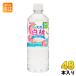 �T���K���A �ɉ�̓V�R�� ���� 600ml �y�b�g�{�g�� 48�{ (24�{���~2 �܂Ƃߔ���) �~�l�����E�H�[�^�[