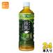 �R�J�E�R�[�� ���� �Z���Β� 525ml �y�b�g�{�g�� 24�{�� ���� �@�\���\���H�i