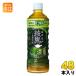 �k�X�g�A�|�C���g+9%�I�l �R�J�E�R�[�� ���� �Z���Β� 525ml �y�b�g�{�g�� 48�{ (24�{���~2 �܂Ƃߔ���) ���� �@�\���\���H�i