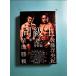 такой же класс сырой душа. Professional Wrestling юность запись (G SPIRITS BOOK)[ монография ]{ б/у }