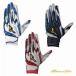 [ вышивка обработка плата бесплатный ] ограниченный товар Mizuno Professional Baseball MIZUNO PRO силикон энергия arc DI 1EJEA555 batting перчатка [ кошка pohs отправка ] перчатки подающего bate