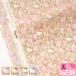 Хƥե֥å Primrose Meadow ץɥ DC33493 Hello Kitty 50th Anniversary ʥ   3(30cm)10cmñ 0814