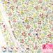 Хƥե֥å Playground ץ쥤饦 DC33498 ʥ   3(30cm)10cmñ 0814