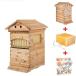 7PCS меласса пчела гнездо коробка гнездо коробка пчела. гнездо документ пчела гнездо коробка авто float гнездо коробка автоматика .. пчела . пчела прибор криптомерия дерево автоматика текущий. меласса пчела . пчела коробка гнездо .. средний . Japan Mitsuba chi.. коробка Be высокий bo