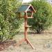  дикая птица. столик для птиц из дерева наружный bird механизм подачи на крыше установлен независимый .. средний . двор . дикая птица наблюдение . веселье в то время как украшение как ...... столик для птиц 