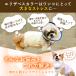�� �p�㕞 �G���U�x�X�J���[ �I�X ���X ���p �� �w���J�� �_�b�N�X ���^�� ���^�� ��^ ���� �{�[�_�[ �y�b�g�p �֘A�摜5