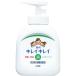 ���L���C�L���C ��p�t�̃n���h�\�[�v �{�� 250mL