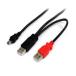 StarTech.com USB2HABMY1 USB Y знак подача тока кабель 30cm Type-A - Mini-B приобретенный товар 