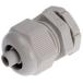 5503-951 CABLE GLAND M20x1.5 RJ45 5PCS 󤻾
