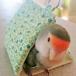  bird tent bird bed parakeet tent . floor mameruli is,ko The Klein ko,sa The Nami parakeet for ( autumn winter for )M size .... bird tent 