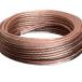 Conext Link PSC24CGS-50 parallel Gold серебряный спикер-кабель все мера нет кислород медь Zip тросик 50 feet 24