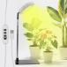 winova �A���琬���C�g LED�X�^���h ���������� USB���d�� �����͔|�p 9�i�K���� �^�C�}�[�@�\�i3H/9H/12H�j ���z���͋[