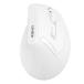 �c�^���C�����X�}�E�X �G���S�m�~�N�X ���� Bluetooth 2.4GHz 3�䓯���ڑ� ���̕��S���y��